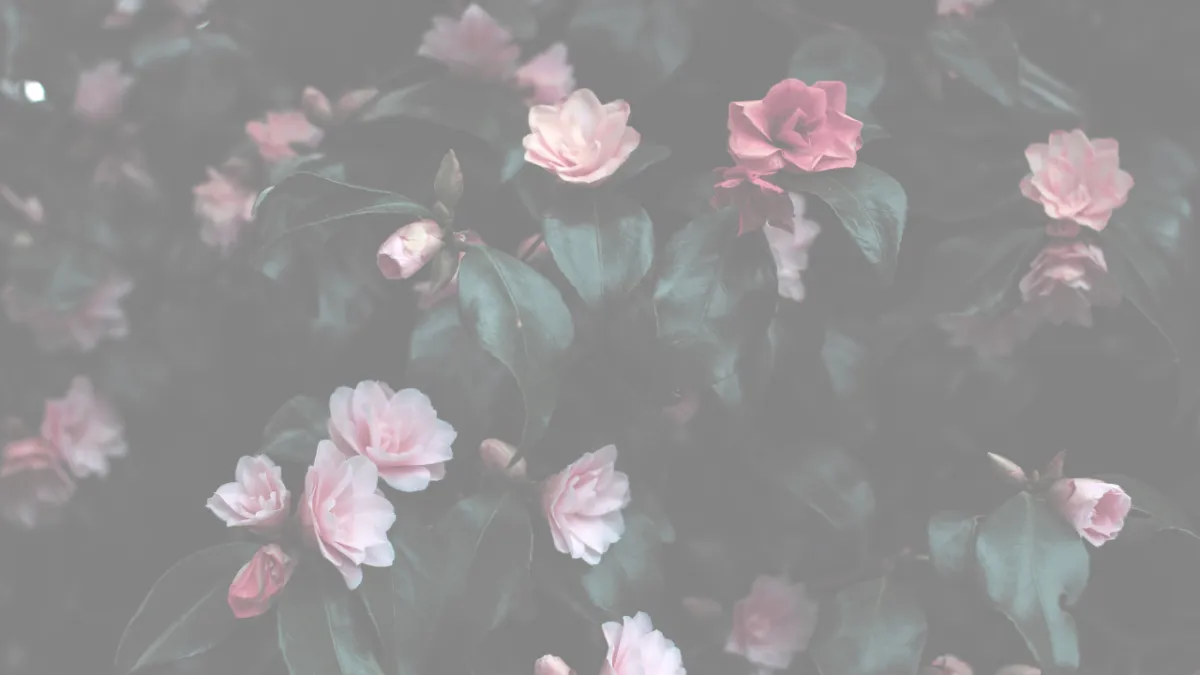 Monday Mindset: Lessons from Nature – Embracing the Sweetness of Summer