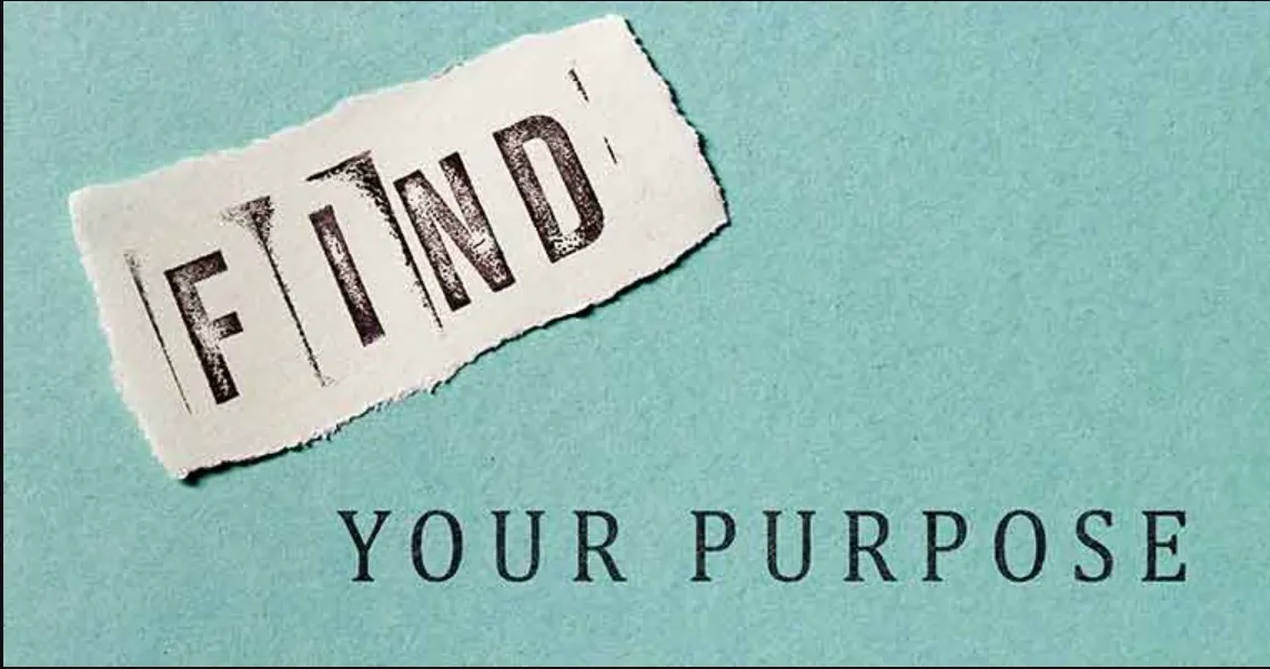 Find your purpose, alignment with purpose