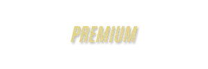 Premium Plan Icon