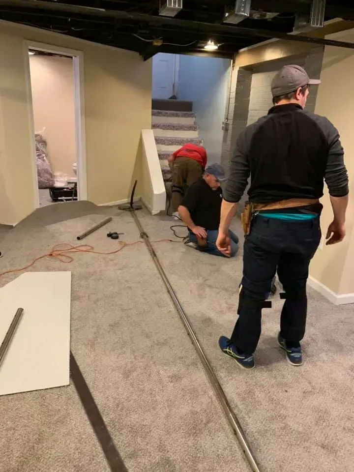 Carpet Cleaning