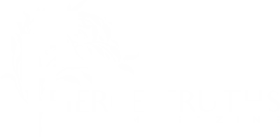 Fierce Truths Magazine logo