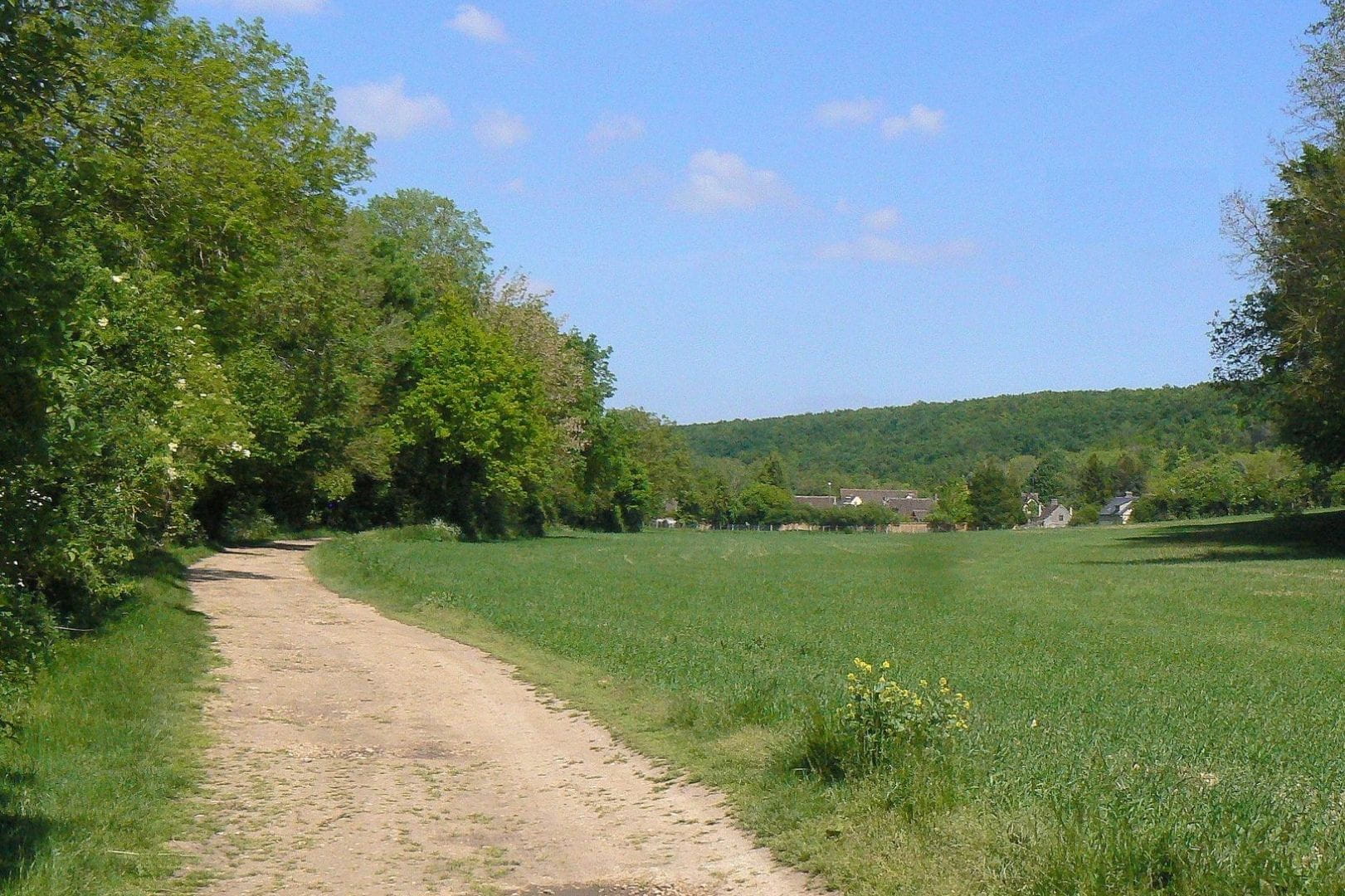 Chemin rural paisible traversant la campagne verdoyante de Muzy (27).