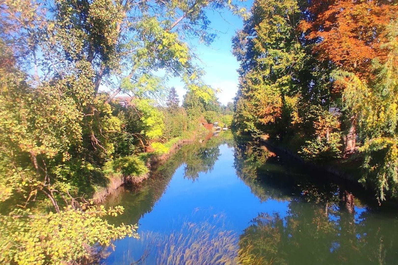 Bords de l'Eure traversant Sainte-Gemme-Moronval, bordés d'arbres aux couleurs d'automne.