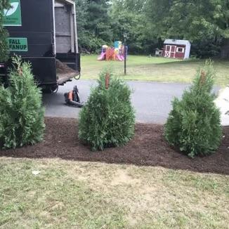 Fresh mulch installation around shrubs and residential landscape beds