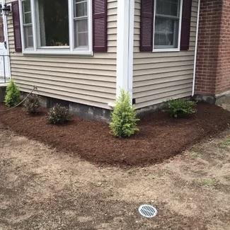 New mulch landscape bed and shrub installation along a residential home