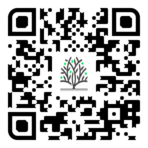 Q code 