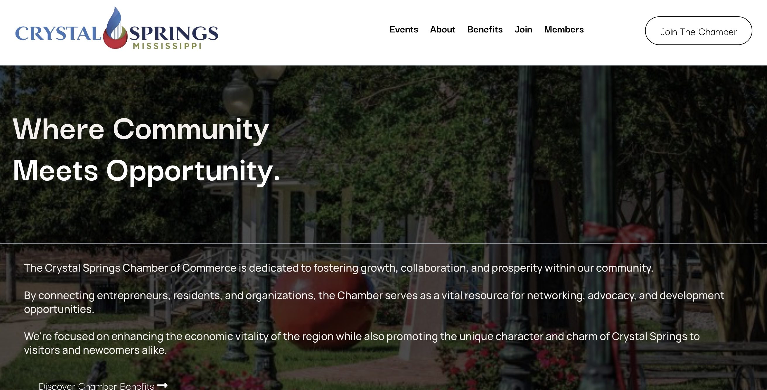 Affordable website design Mississippi