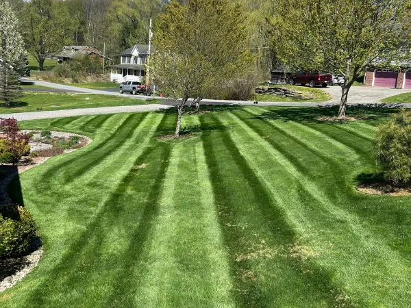 Freshly mowed lawn with professional striped mowing lines