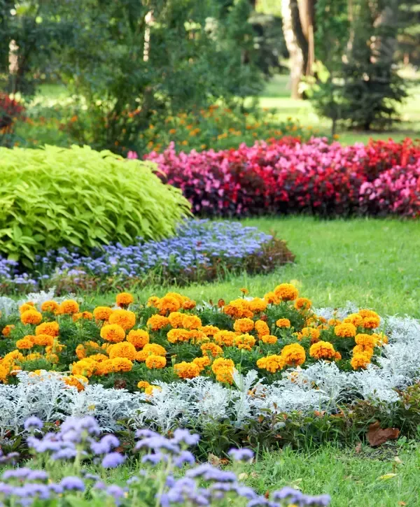 Colorful landscaped garden with marigolds, flowers, and decorative plants