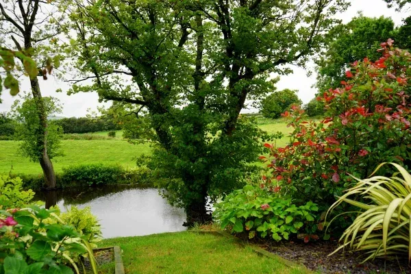 Top Hardscaping Ideas to Transform Your Honesdale, PA Backyard | SGJ Landscaping