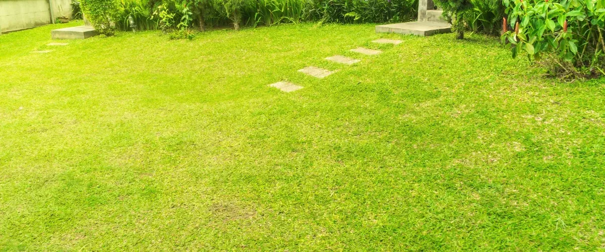 A vibrant green lawn with stepping stones leading toward a concrete entry and lush foliage in a tropical garden.