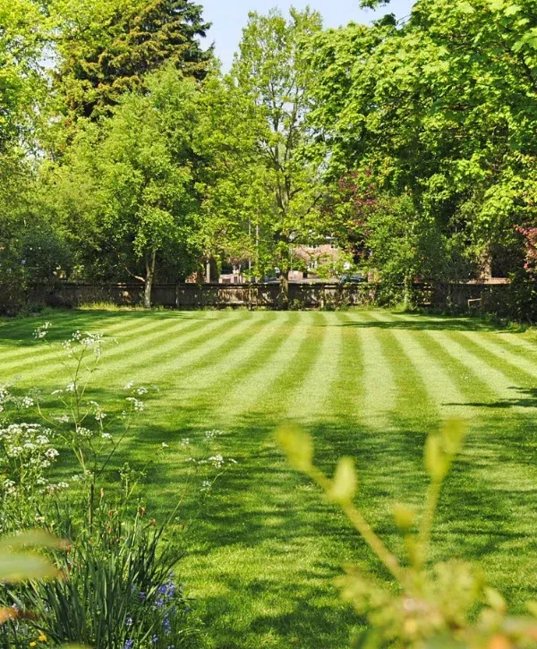 A vibrant green lawn with distinctive mown stripes, surrounded by lush trees and garden plants under sunlight.