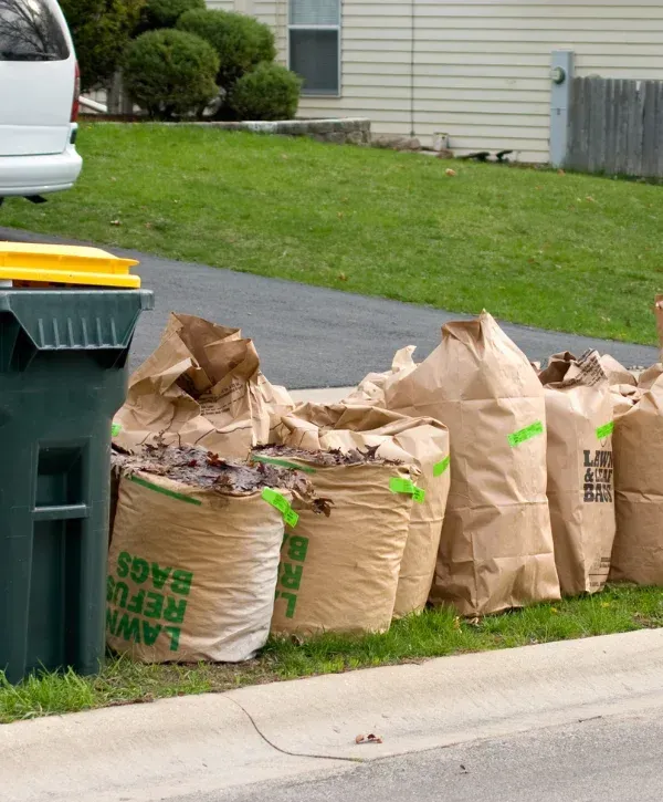 Several large brown paper yard waste bags filled with leaves and grass sit on a grassy curb next to a green bin.