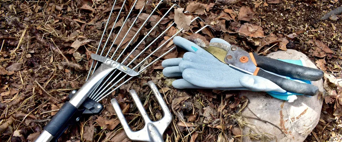 Gardening tools including a rake, hand fork, pruning shears, and gloves laid on brown fallen leaves.