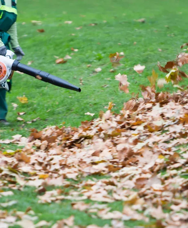 A person in green workwear uses a leaf blower to clear a pile of autumn leaves from a grassy lawn.