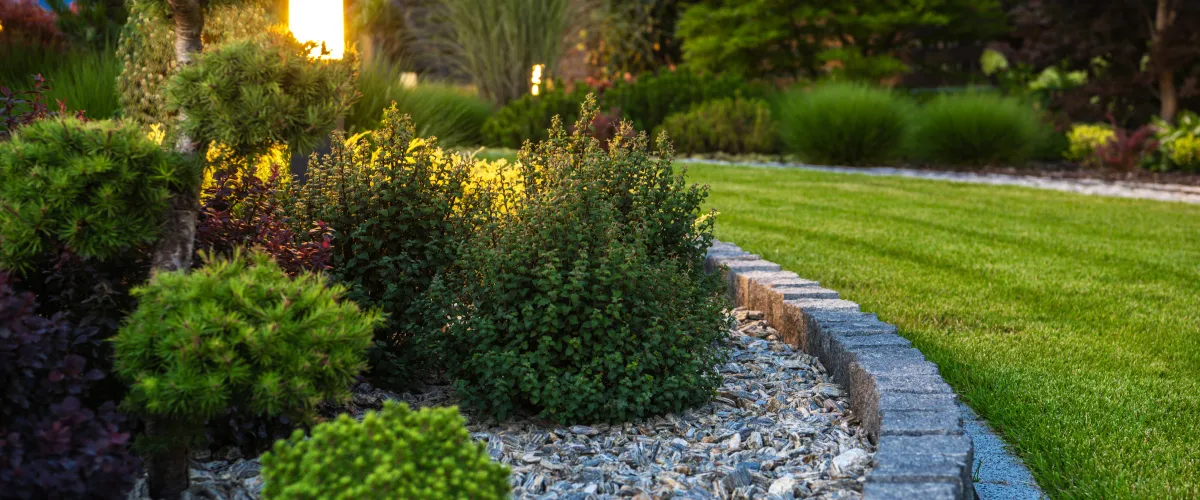 A meticulously landscaped garden with green shrubs, dark mulch, and a manicured lawn under soft evening sunlight.
