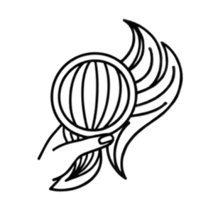 Icon showing luxury weft hair extensions designed for medium to thick hair types