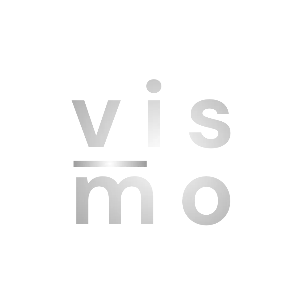 Vismo Studio Logo