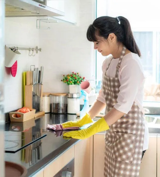 Kitchen Cleaning Services