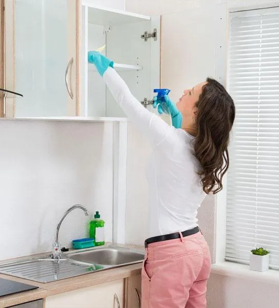 Commercial Kitchen Cleaning Services