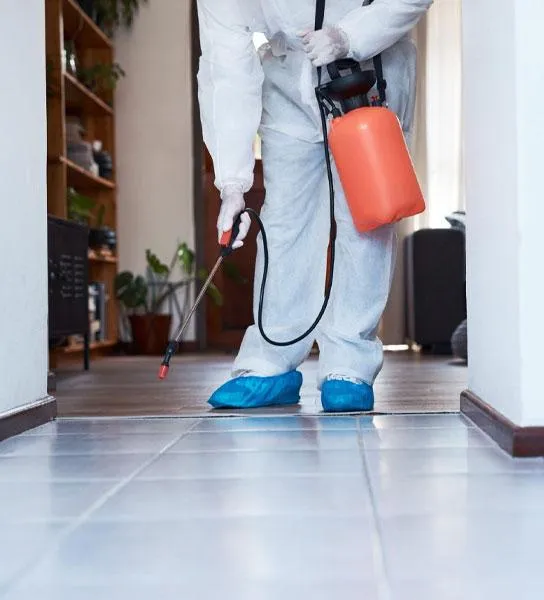Disinfection Cleaning Services