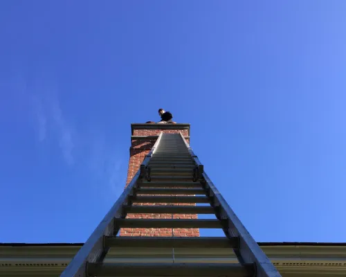  Fireplace & Chimney Cleaning