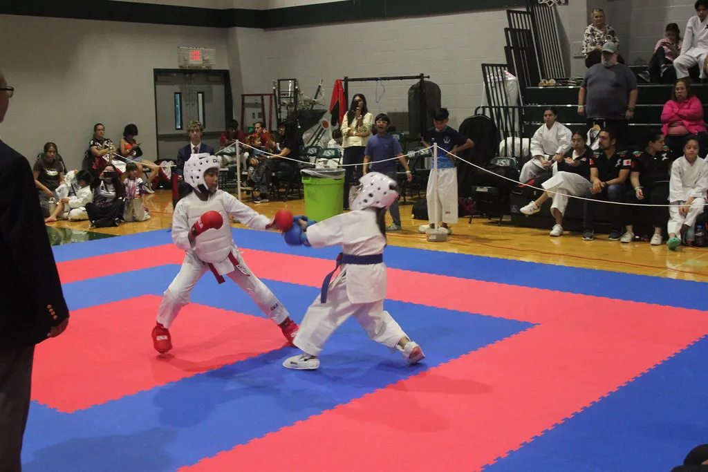 two men doing karate on green grass field