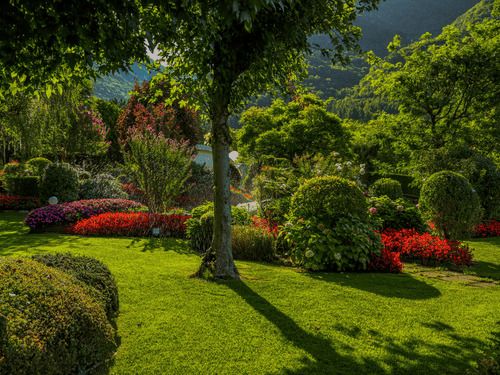 Charleston, TN Landscaping