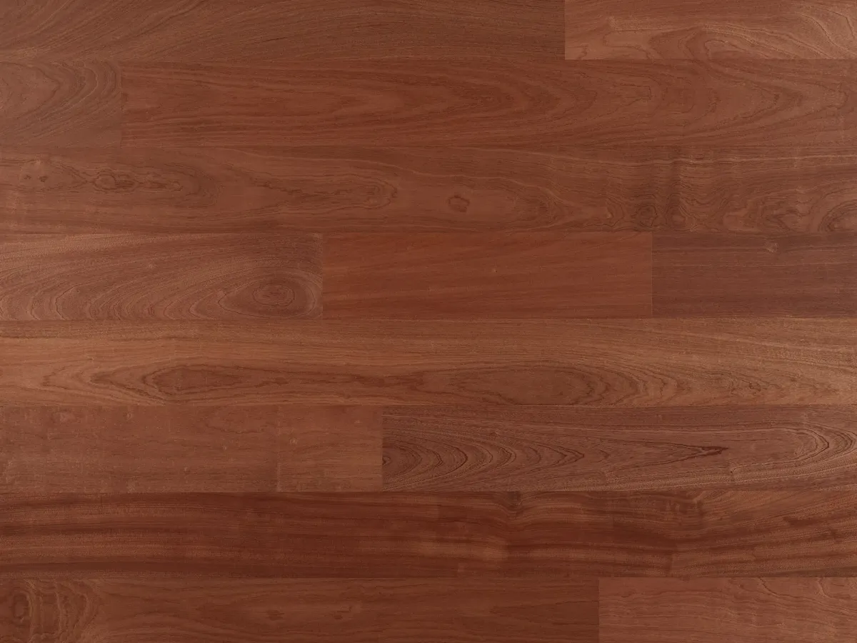 The image shows a Sapele wood flooring sample.