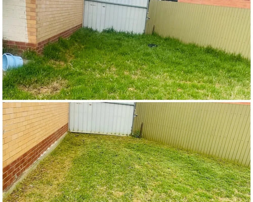 Garden Bed Installation in Salisbury
