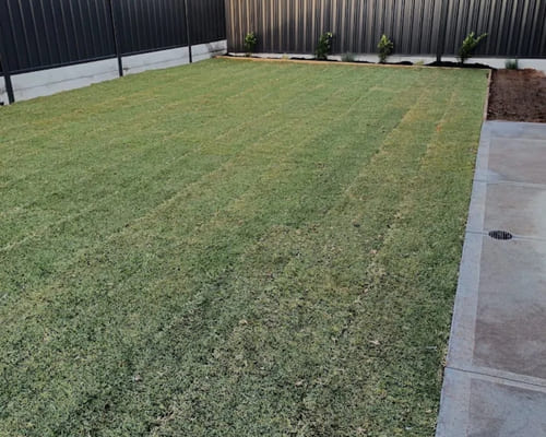 Mulch Installation in Salisbury