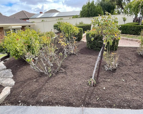 Gardening and Landscaping Salisbury