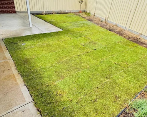 One-Off Garden Clean-Ups in Salisbury