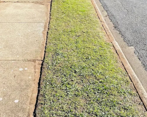 Weed Control Salisbury