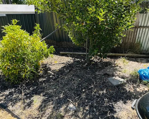 One-Off Garden Clean-Ups in Salisbury
