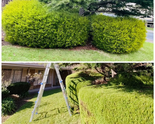 Garden Bed Installation in Salisbury