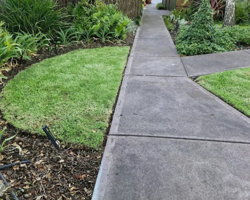 Regular Garden Maintenance Salisbury