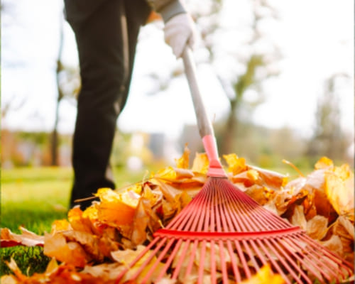 One-Off Garden Clean-Ups Salisbury
