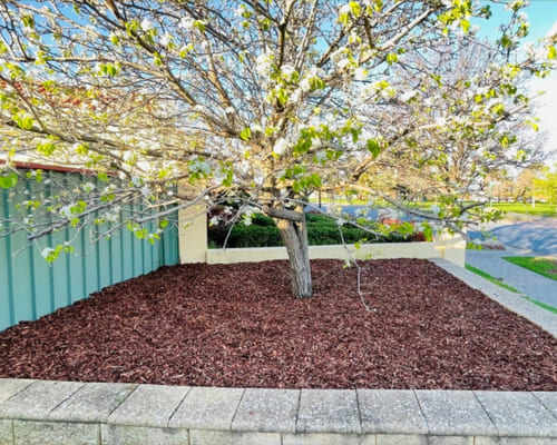 Mulch Installation in Salisbury