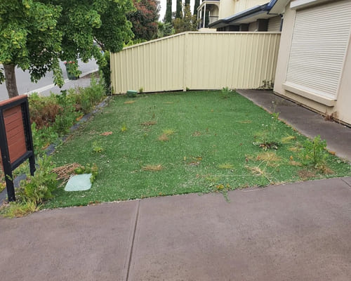 Irrigation Installation in Salisbury