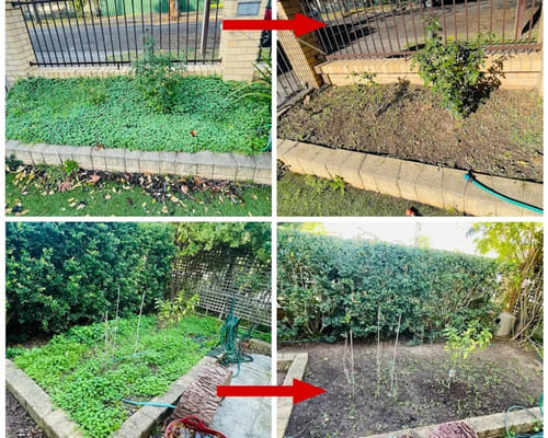 Irrigation Installation in Salisbury