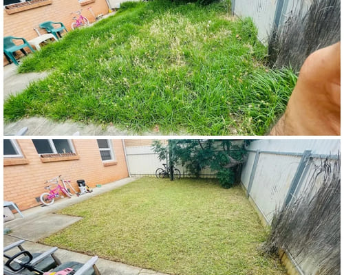Lawn Mowing Salisbury