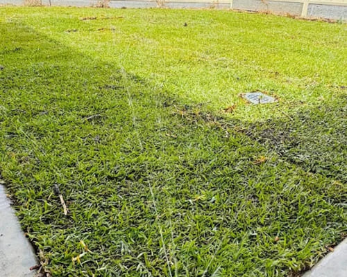 Garden Bed Installation in Salisbury