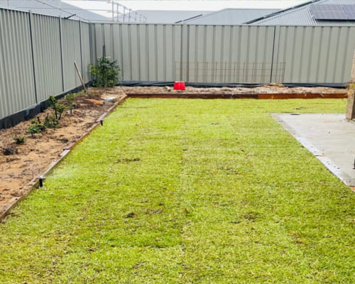Regular Garden Maintenance in Salisbury