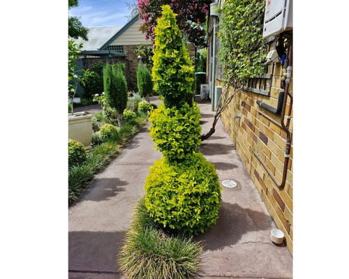 Garden Bed Installation in Salisbury
