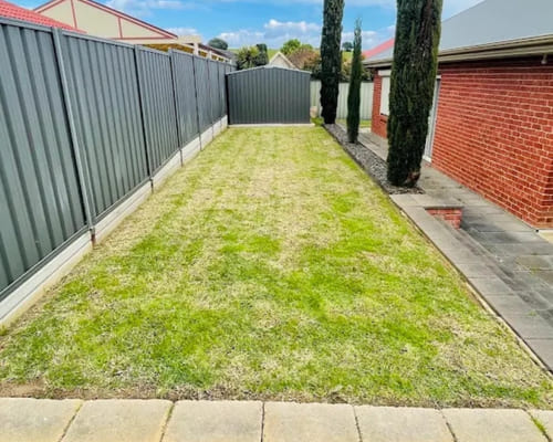 Lawn Mowing in Albert Park