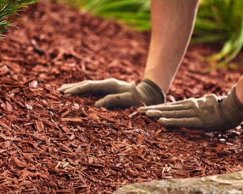 Irrigation Installation in Salisbury