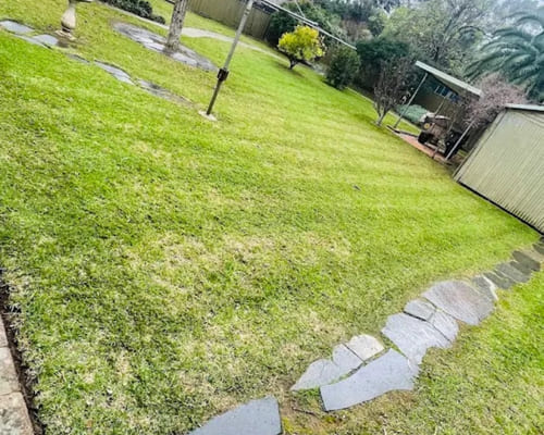 Irrigation Installation in Salisbury