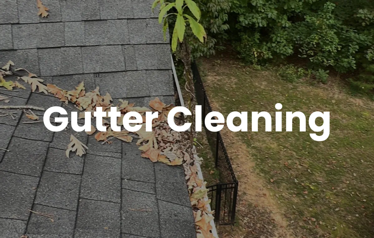 Gutter Cleaning