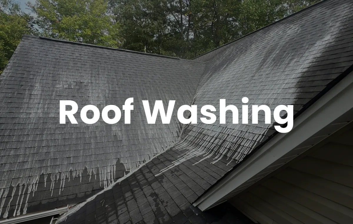 Roof Washing